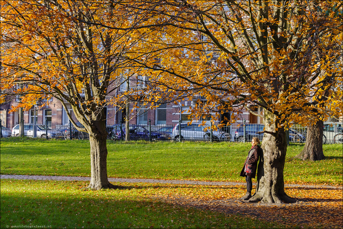 Sarphatipark - Amsterdam