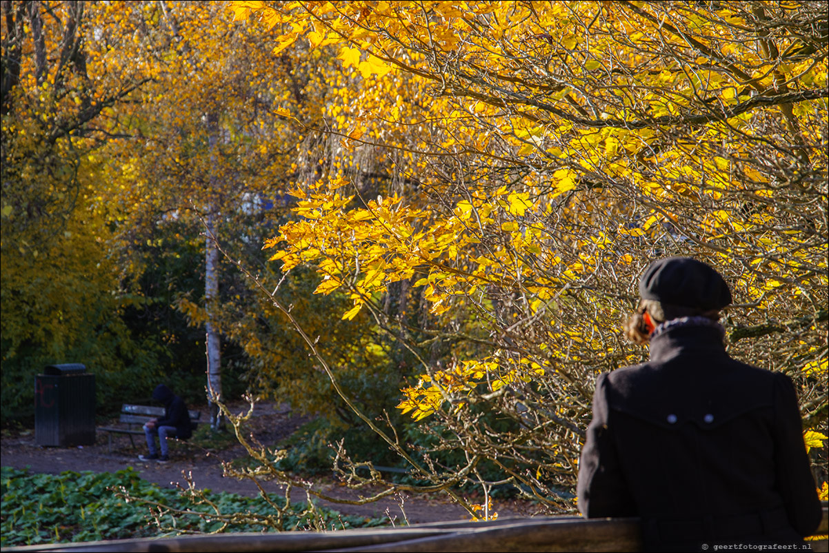 Sarphatipark - Amsterdam