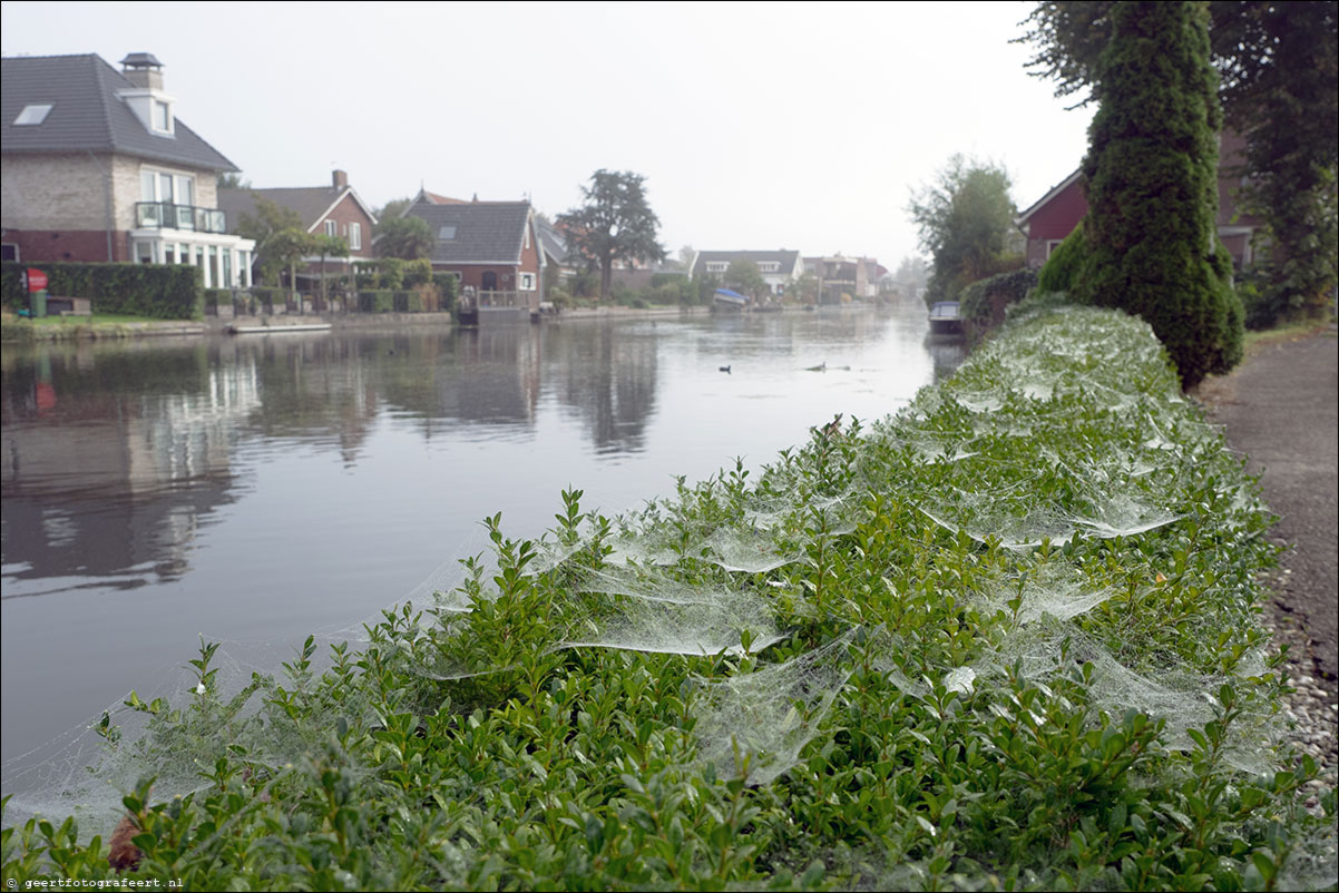 Romeinse Limes in Nederland: Van Albaniana(Alphen aan de Rijn) naar Laurium (Woerden)