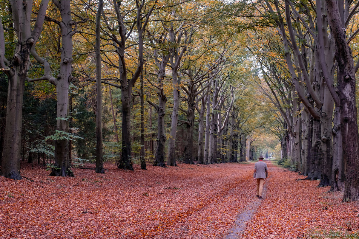 herfstwandeling Gooise Lusthoven