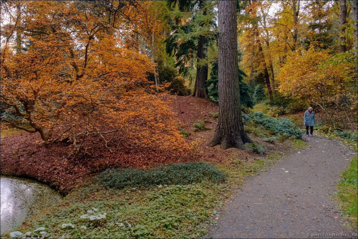 herfstwandeling Gooise Lusthoven