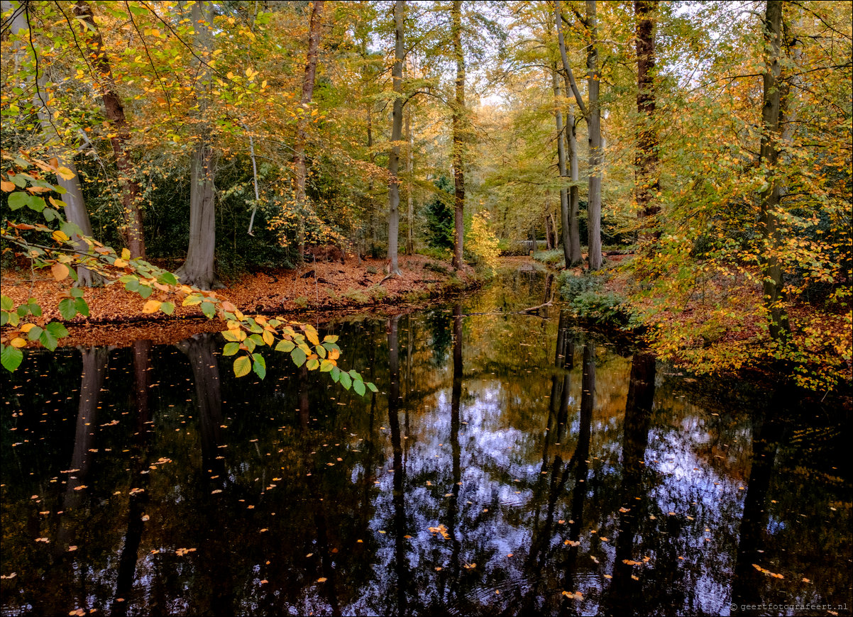 herfstwandeling Gooise Lusthoven