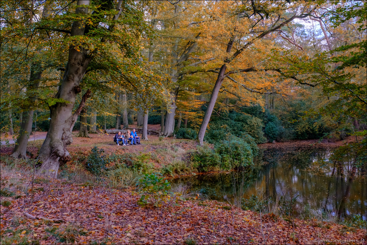 herfstwandeling Gooise Lusthoven