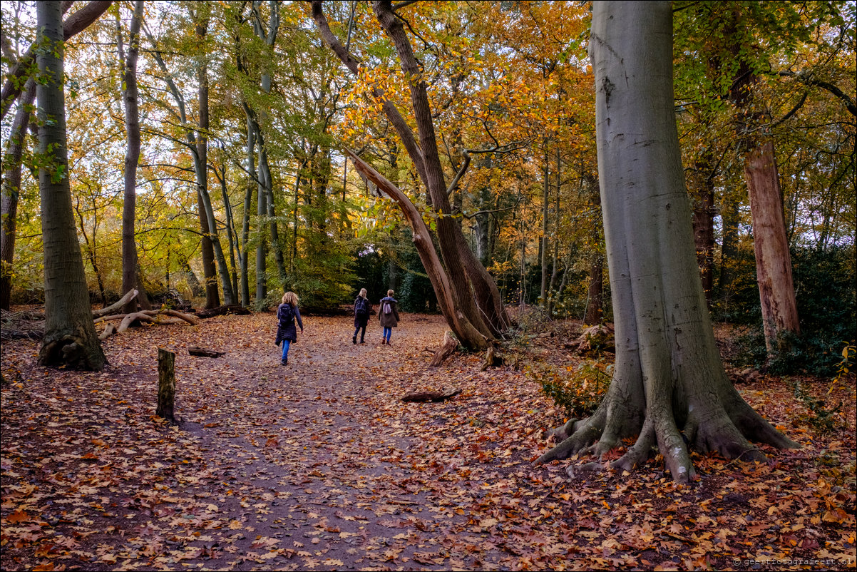 herfstwandeling Gooise Lusthoven