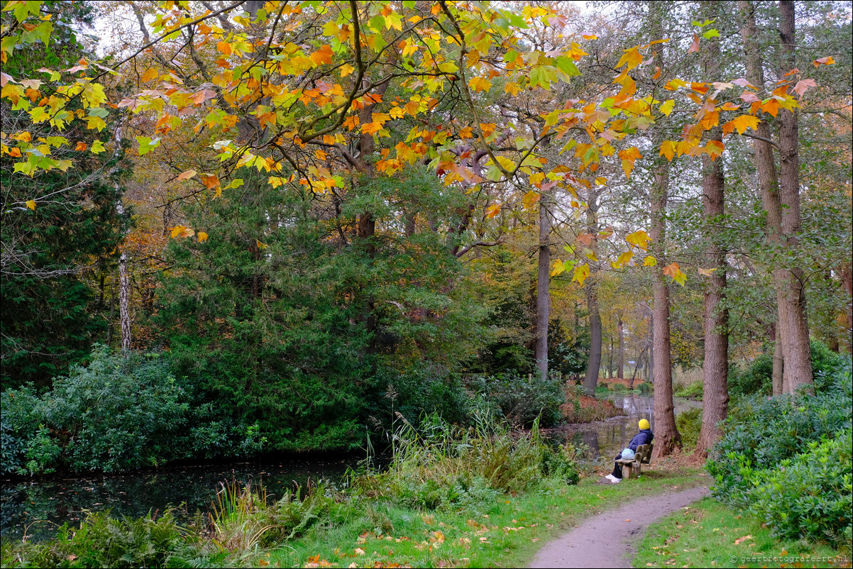 herfstwandeling Gooise Lusthoven