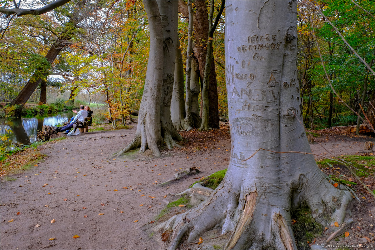 herfstwandeling Gooise Lusthoven