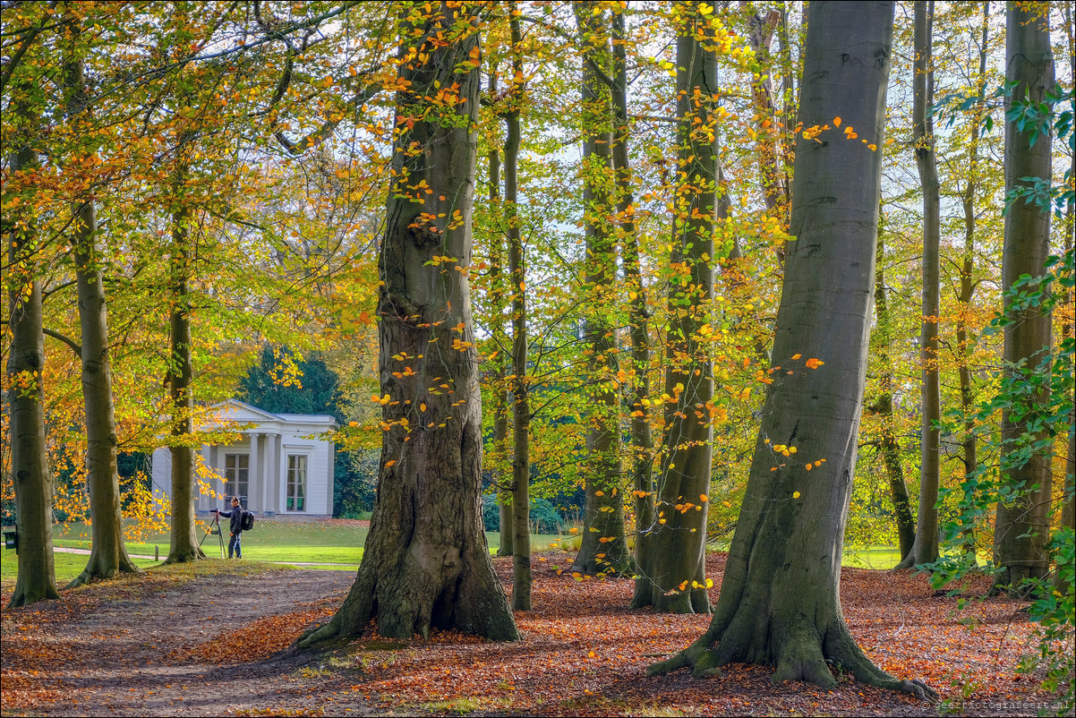 herfstwandeling Gooise Lusthoven