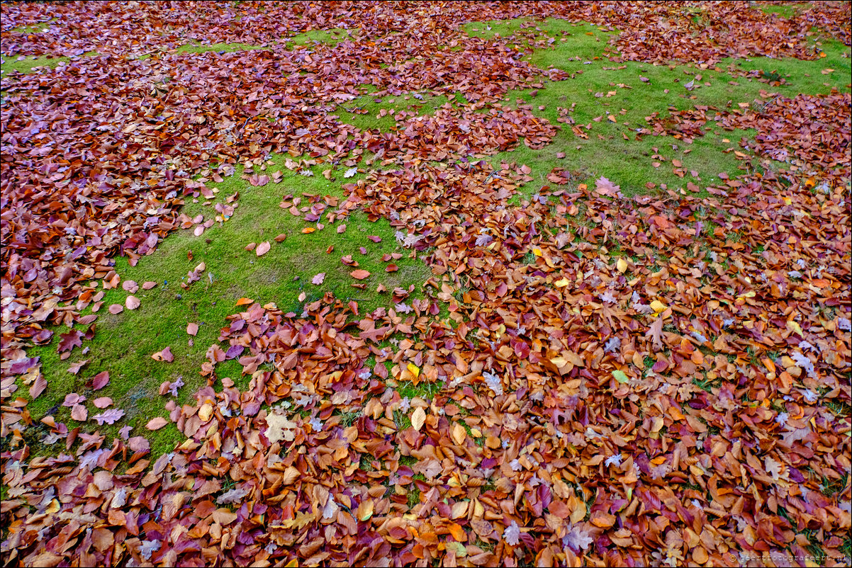 herfstwandeling Gooise Lusthoven