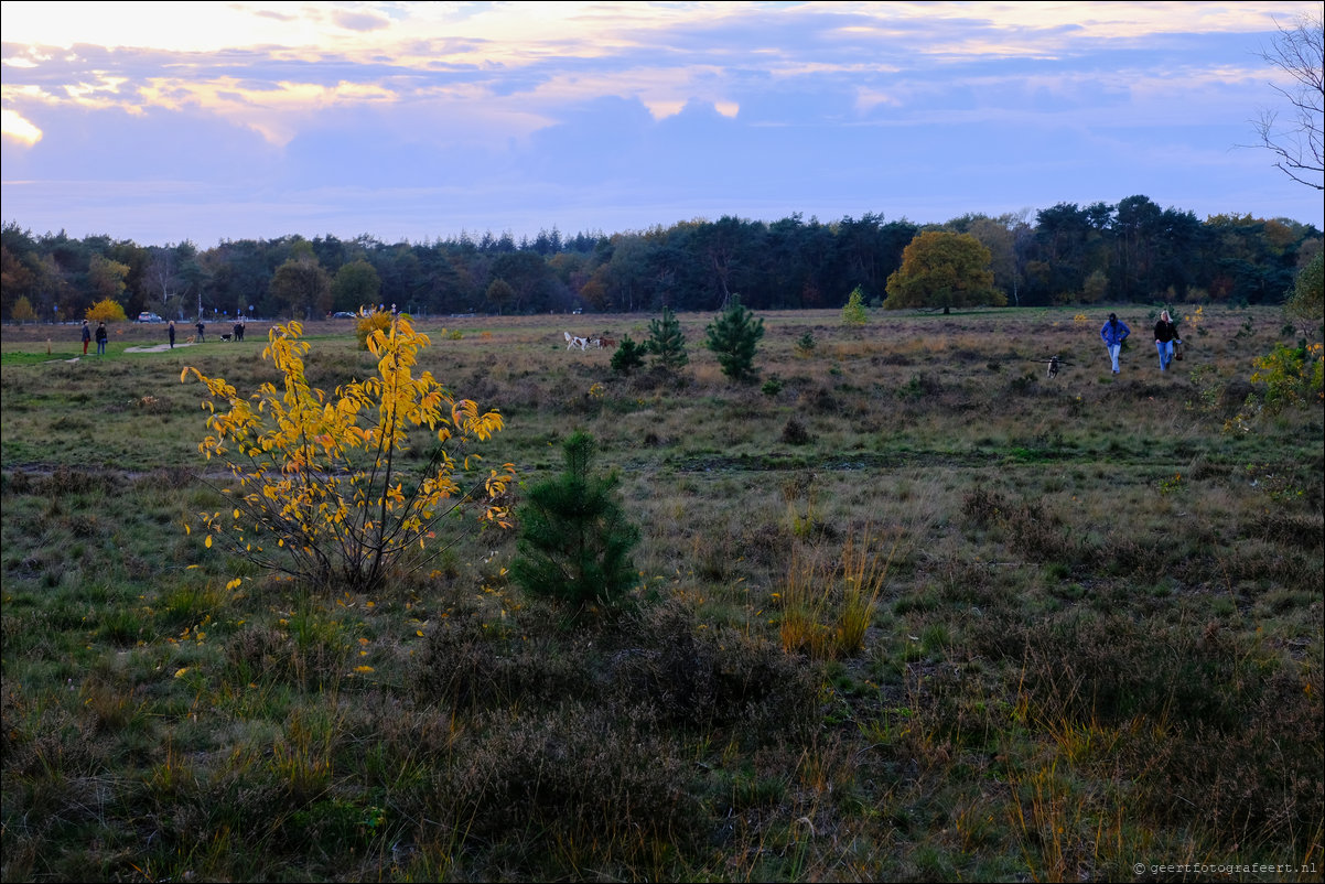 herfstwandeling Gooise Lusthoven