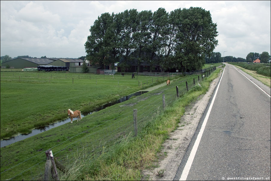 stammeerdijk