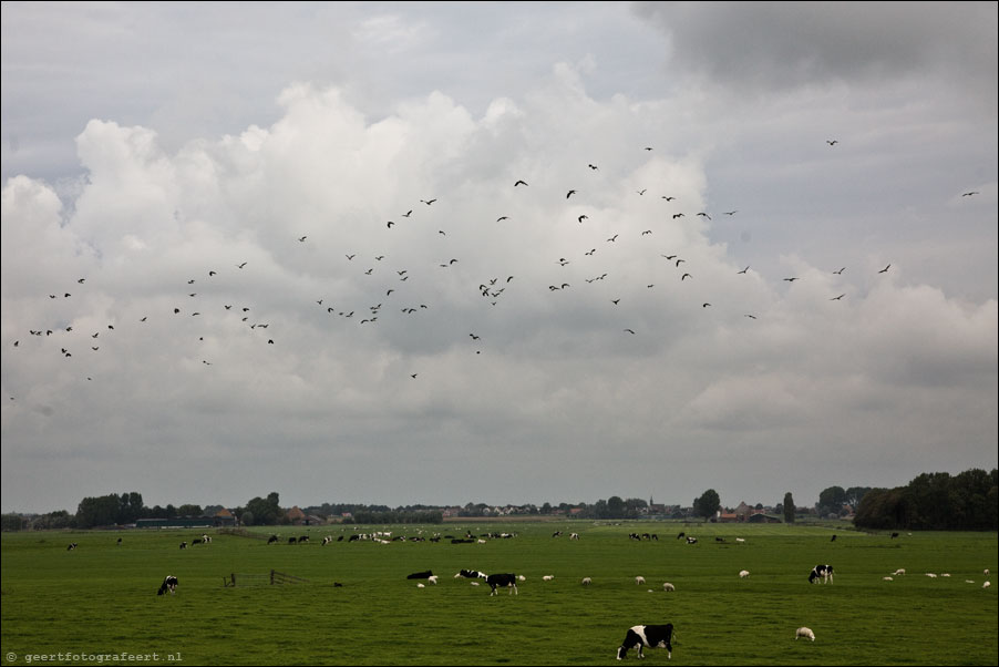 stammeerdijk