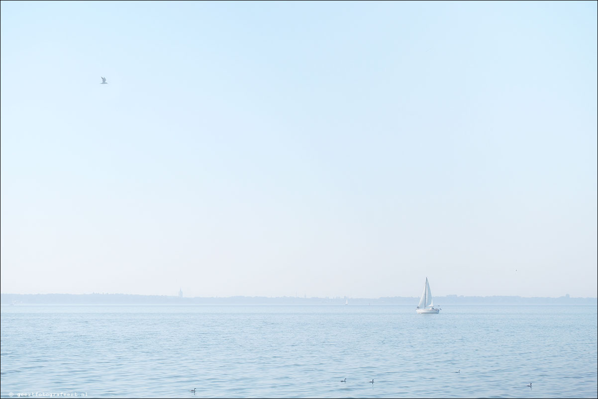 Gooimeer