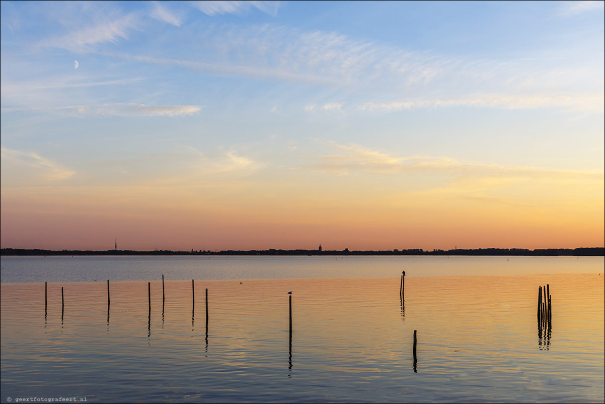 Gooimeer