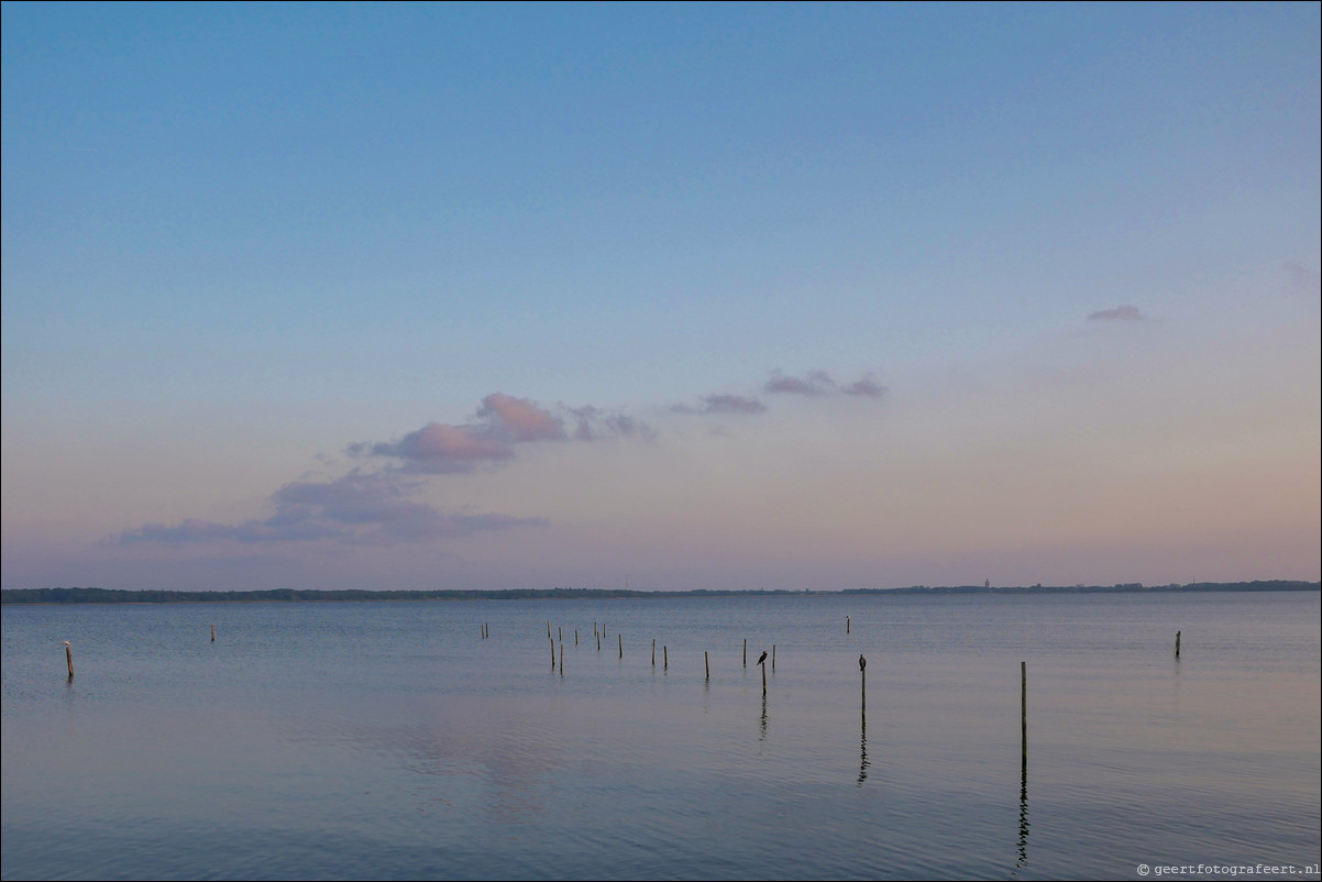 Gooimeer