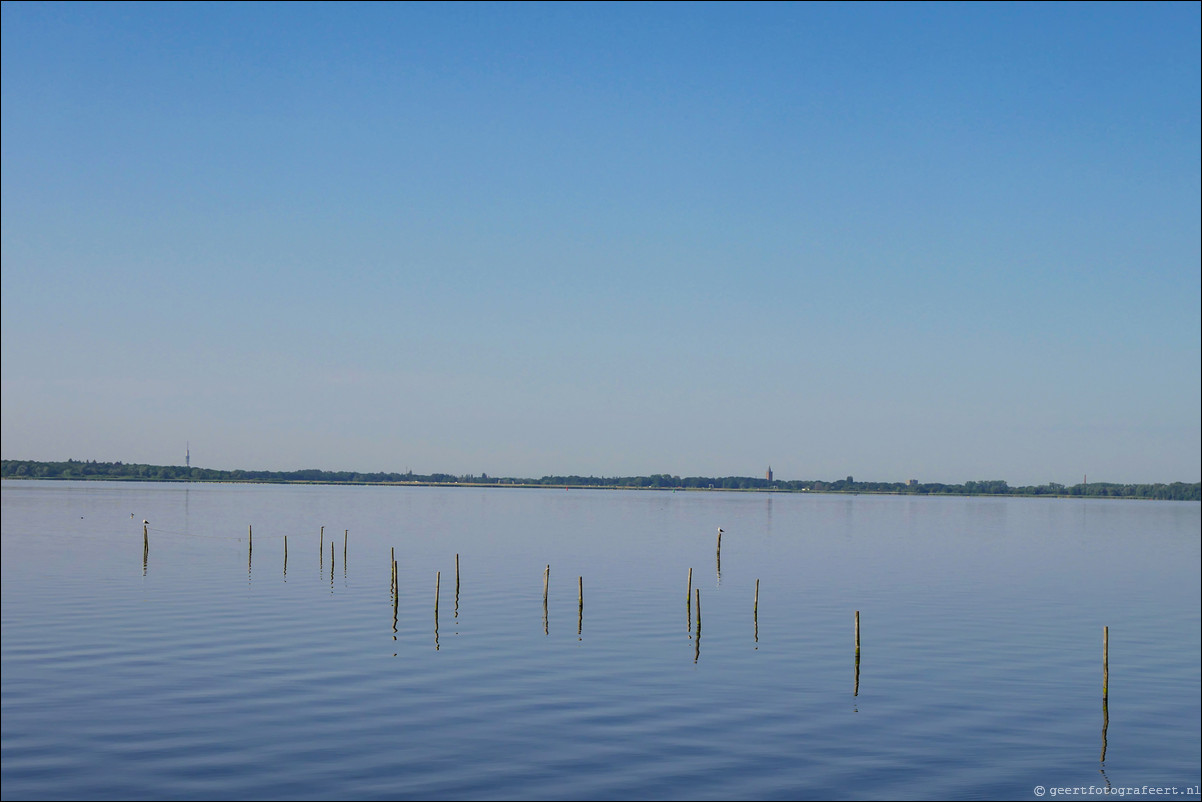 Gooimeer