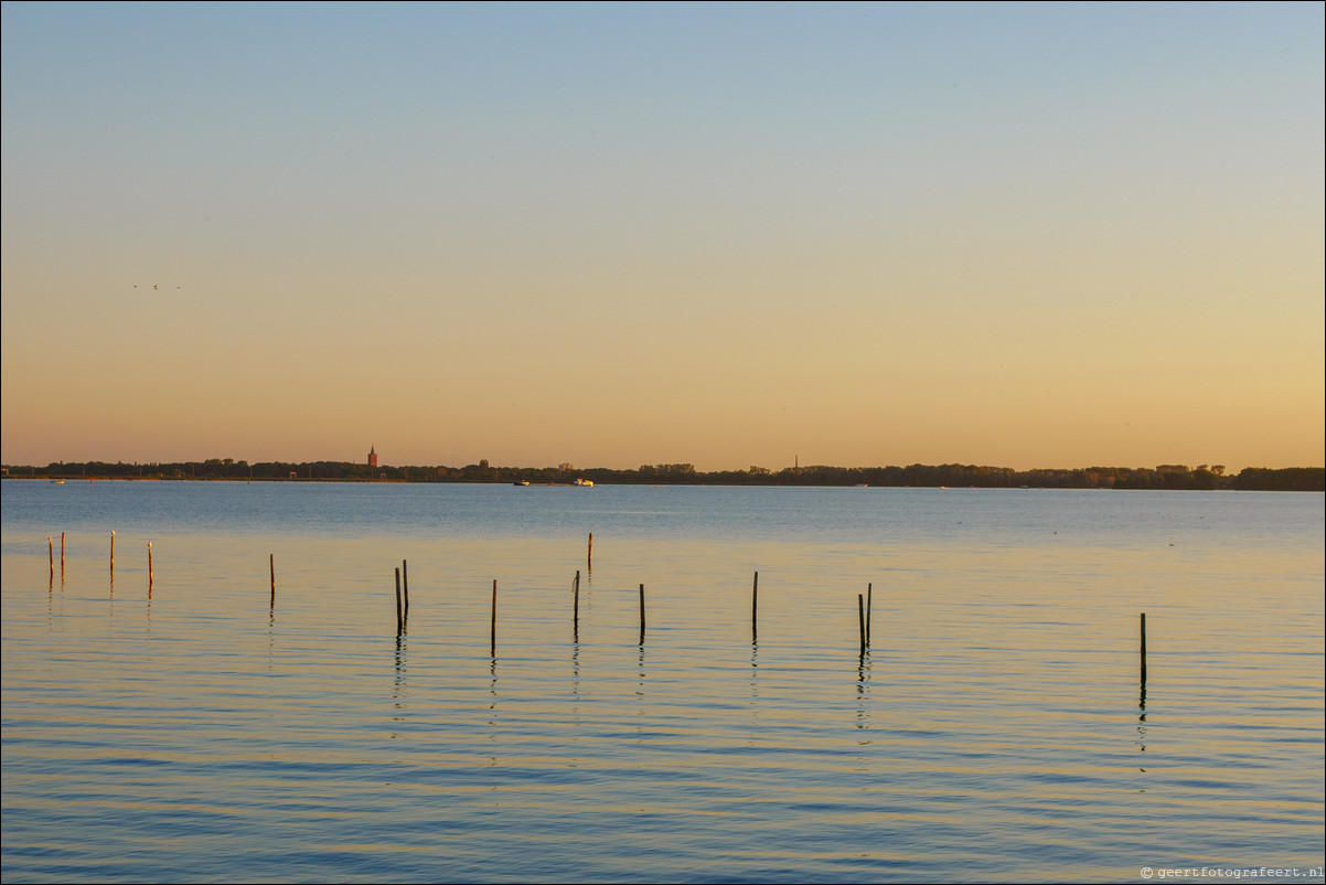 Gooimeer